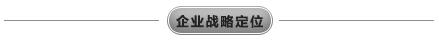 企业战略定位.png